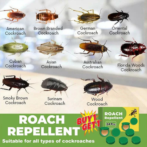Cockroach Killer Gel (Buy 1 Get 1 Free) 24pcs